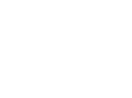 Freedom 250